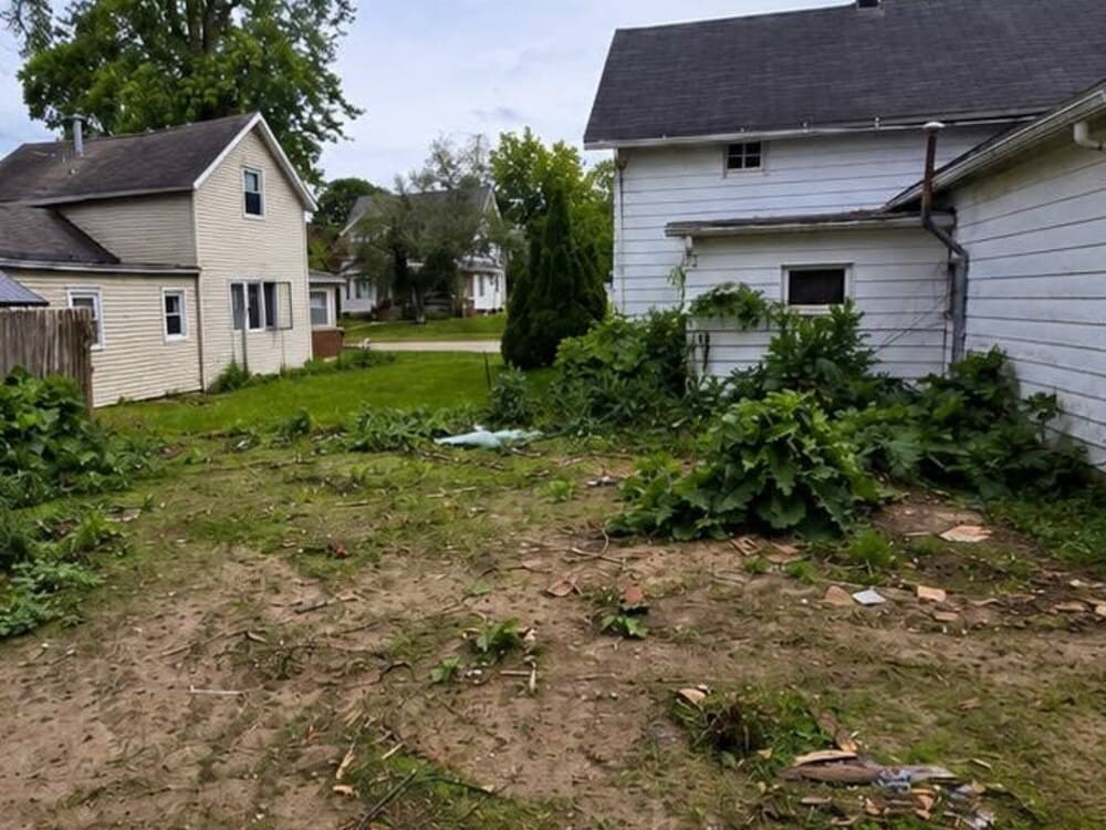 Unkempt yard beside a white house with overgrown plants and scattered debris