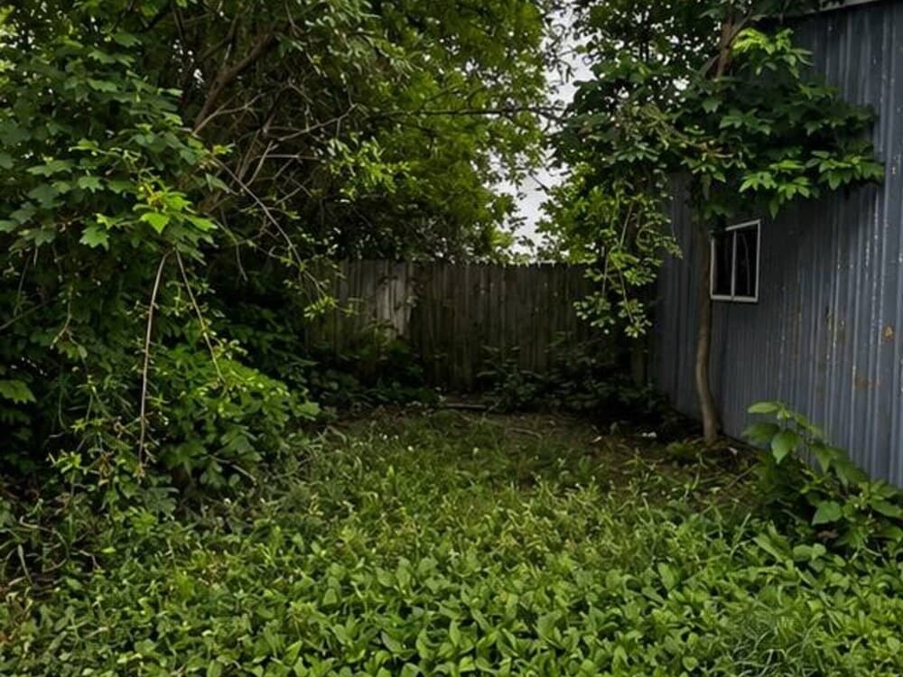 Overgrown, hard-to-use fenced yard area before cleanup