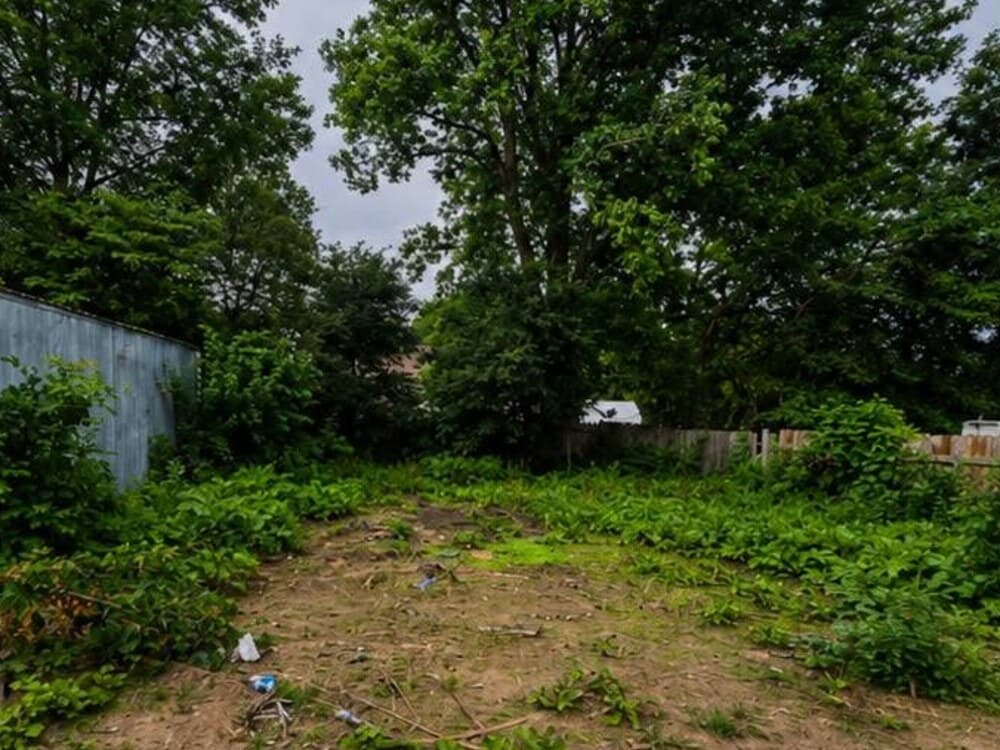 Overgrown backyard lot full of weeds and debris before cleanup